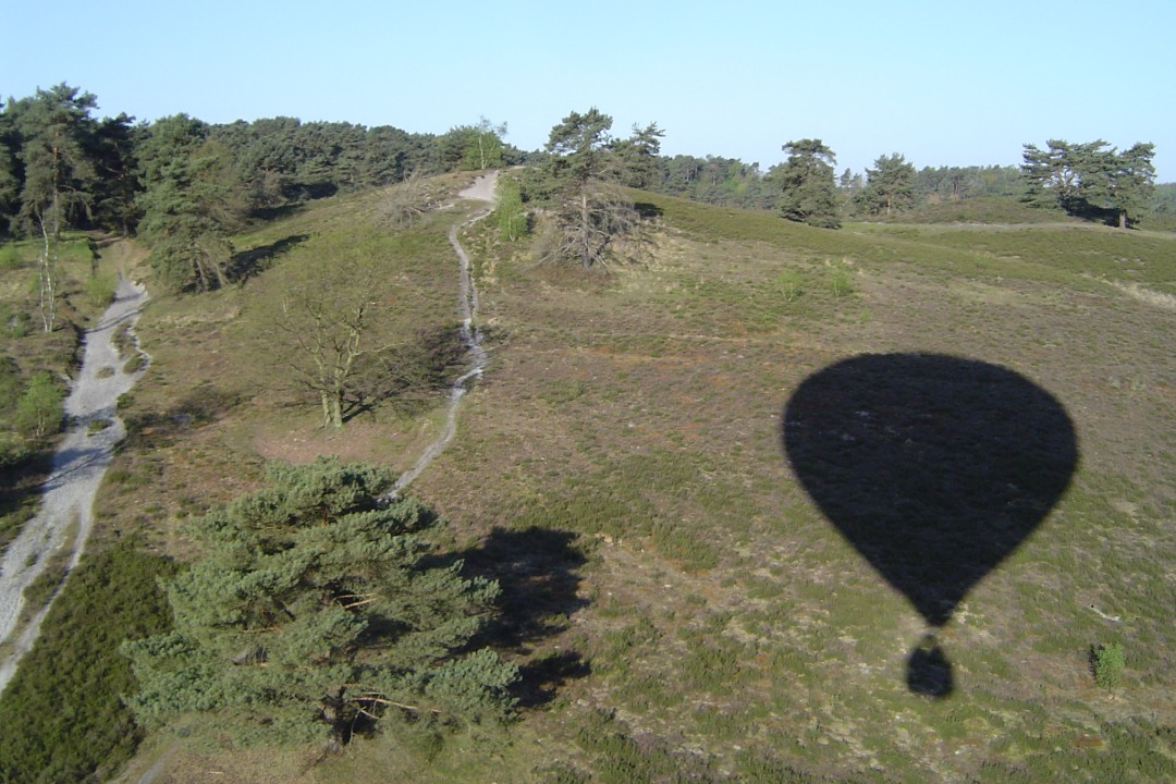 Die Brunssummerheide.