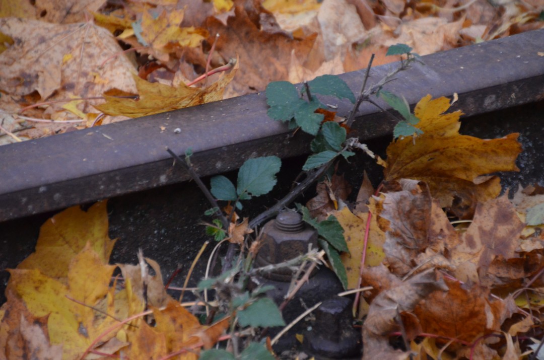 Spuren vergangener Zeiten.